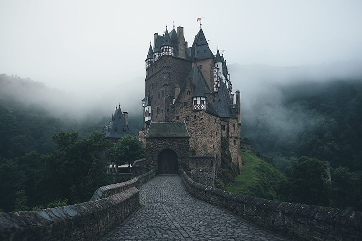 кафяв и черен замък, замък, замъкът Елц, дървета, Германия, гора, тухли, кула, мъгла, хълмове, сутрин, павета, камъни, пейзаж, природа, HD тапет