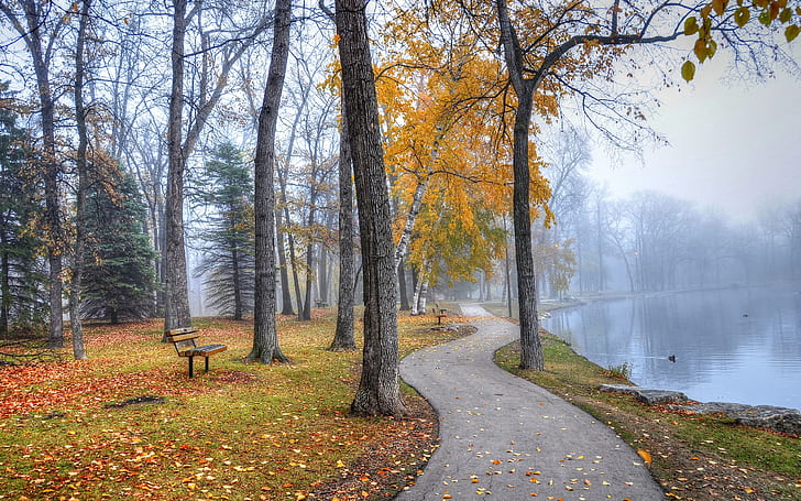 Park landscape, walkway, trees, benches, lake, autumn, Park, Landscape, Walkway, Trees, Benches, Lake, Autumn, HD wallpaper