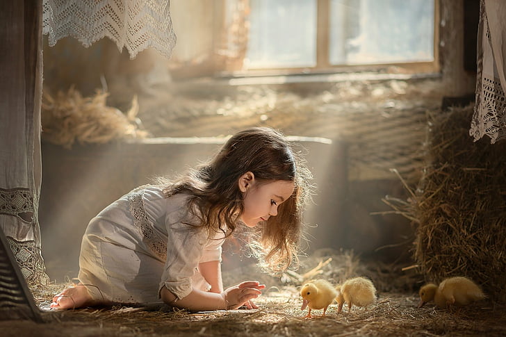 Фотография, Ребенок, Детское животное, Цыпленок, Девочка, Маленькая девочка, Солнечный луч, HD обои