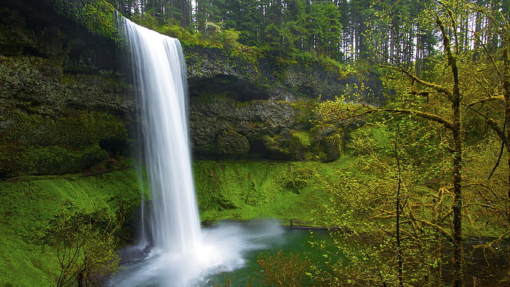 滝、自然、風景、滝、長時間露光、森林、木、 HDデスクトップの壁紙