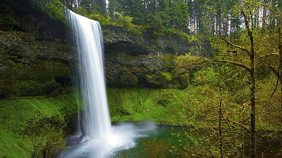 waterfalls, nature, landscape, waterfall, long exposure, forest, trees, HD wallpaper HD wallpaper