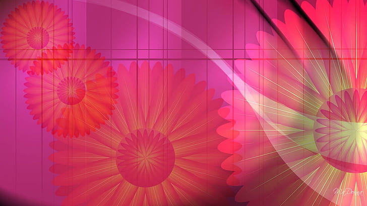 Daisy Abstract, bright, pink, colors, daisies, flowers, spring, abstract, summer, daisy, 3d and abstract, HD wallpaper