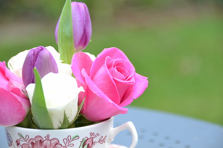 pink, white and purple roses shallow capture, Flowers, Saucer, white, purple, roses, shallow, capture, Cup, Tea, Coffee  Mug, Plate, Garden, Table, Grass, Image, nature, pink Color, flower, bouquet, freshness, HD wallpaper