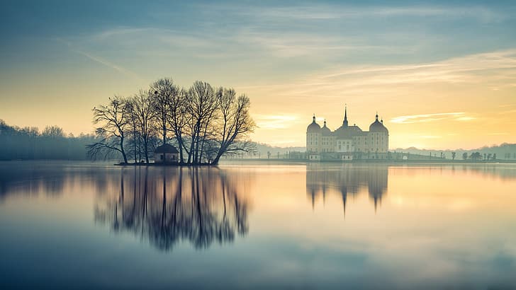木、霧、池、反射、城、夜明け、朝、ドイツ、島、ザクセン、モーリッツブルク城、 HDデスクトップの壁紙
