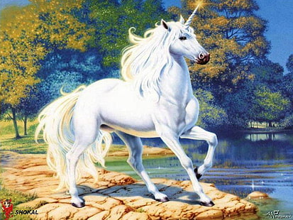 ภาพประกอบยูนิคอร์นสีขาวศิลปะแฟนตาซียูนิคอร์น, วอลล์เปเปอร์ HD HD wallpaper