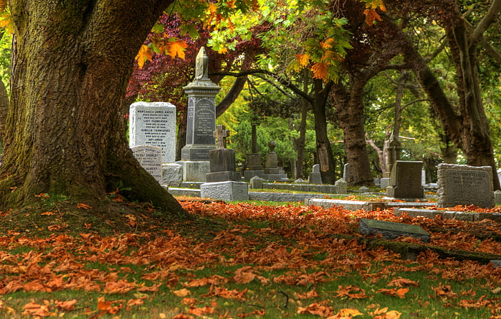 autumn, cemetery, fall, gothic, grave, headstone, leaves, trees, HD wallpaper