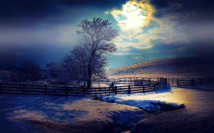 природа, пейзаж, лунный свет, зима, снег, туман, забор, вечер, деревья, облака, HD обои