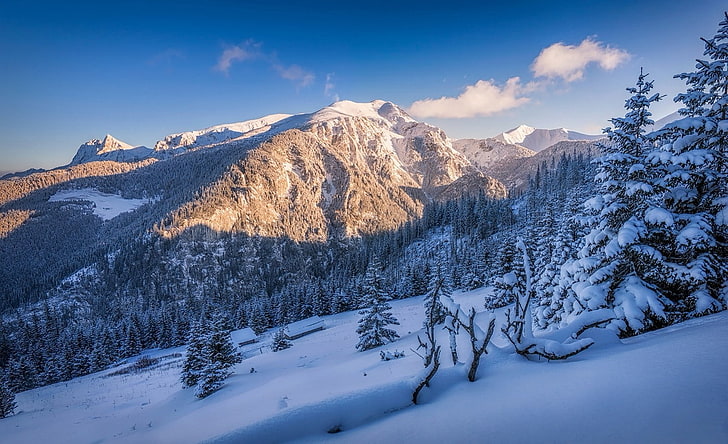 природа, пейзаж, зима, сняг, планини, гора, залез, дървета, Полша, HD тапет