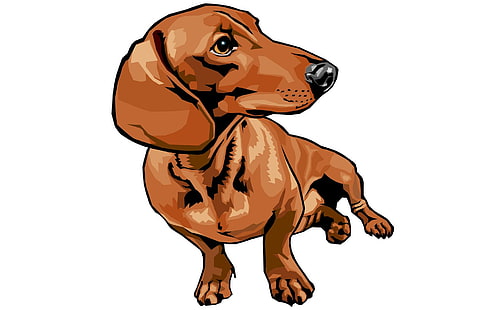 Dachshund Dibujo, dibujo, animales, perros, lindo, perro salchicha, Fondo de pantalla HD HD wallpaper