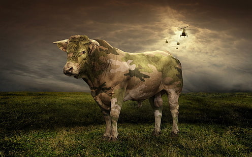Camouflage Bull, green, white and black camouflage cow, camouflage, cattle, bull, funny, hide, animal, 3d and abstract, HD wallpaper HD wallpaper