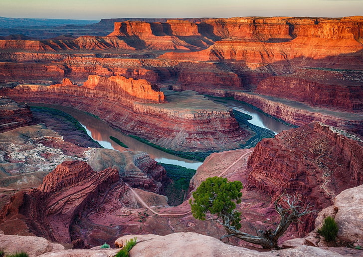 Natur, Landschaft, Erosion, Canyon, Fluss, Sträucher, Nationalpark, Utah, HD-Hintergrundbild