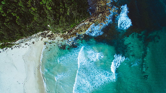 foto aérea de beira-mar branca, natureza, água, praia, árvores, HD papel de parede HD wallpaper