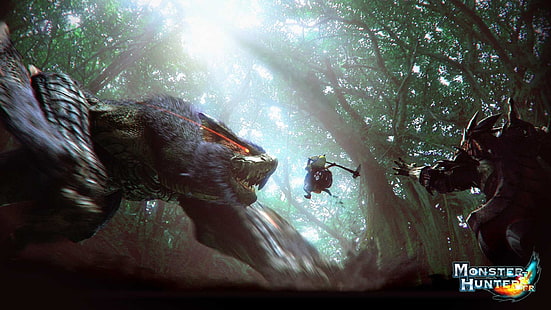 Monster Hunter цифровые обои, Monster Hunter, Nargacuga, HD обои HD wallpaper