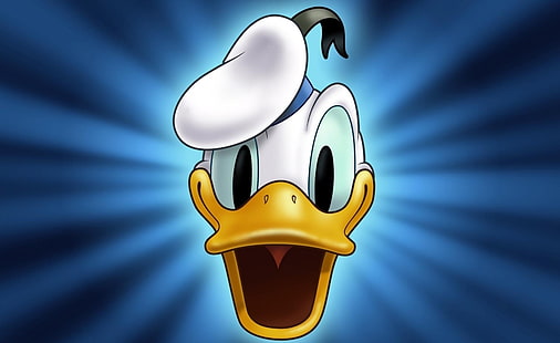 Donald Duck Cartoons, Donald Duck, Cartoons,, dessin animé, canard, Fond d'écran HD HD wallpaper