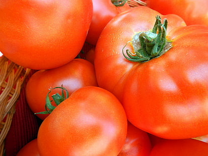 bando de tomates, tomates, tomates, monte, mercado dos fazendeiros, alimentos locais, vegetais, alimentos, tomate, frescura, vermelho, orgânicos, vegetariano alimentos, maduro, agricultura, saudável comer, HD papel de parede HD wallpaper
