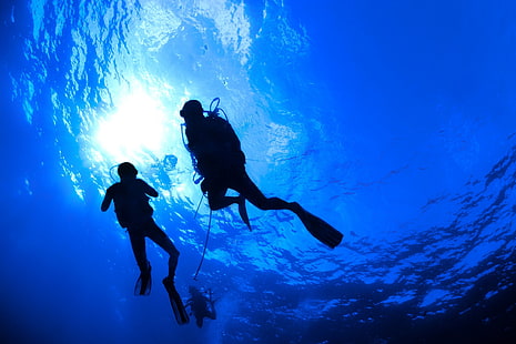 plongeur, plongée, océan, plongée, mer, sous l'eau, Fond d'écran HD HD wallpaper