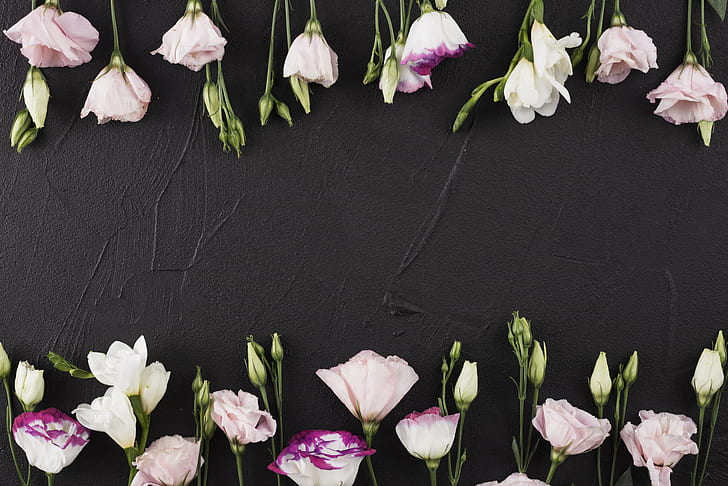 Flowers, black background, pink, beautiful, romantic, eustoma, HD wallpaper  | Wallpaperbetter