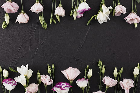 цветя, черен фон, розово, красиво, романтично, еустома, HD тапет HD wallpaper