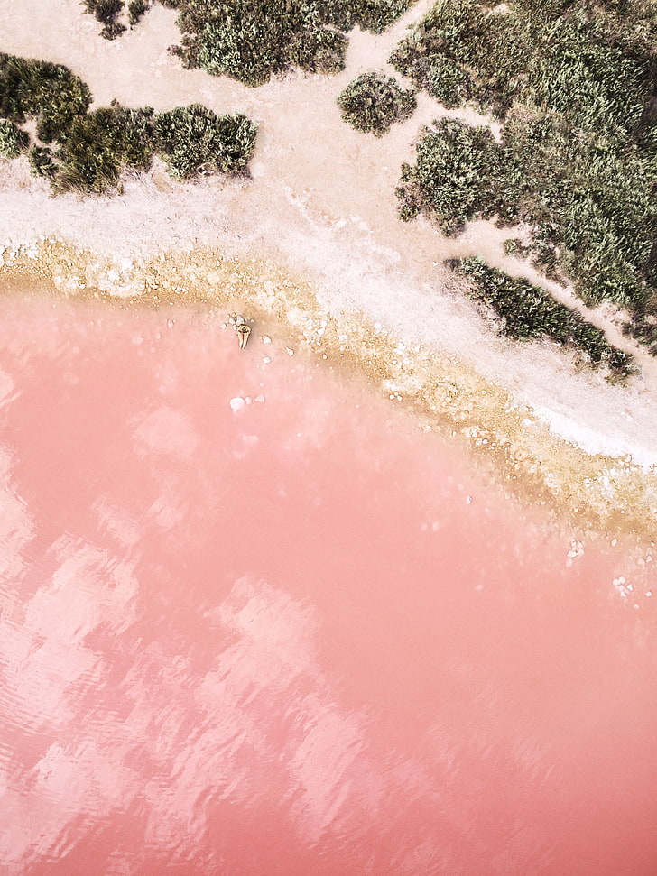 pink, green, and white abstract painting, beach, sand, rocks, women, aerial view, pink, water, beige, shrubs, HD wallpaper