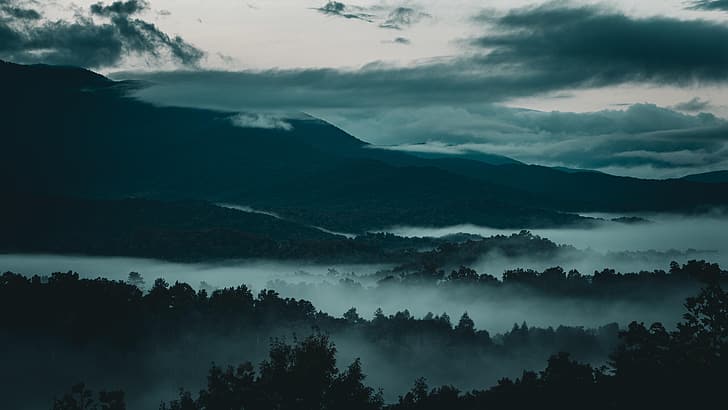 paysage, forêt, nature, aube, États-Unis, Tennessee, nuages, brouillard, Fond d'écran HD