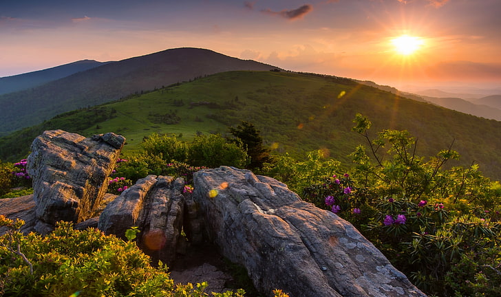 sunset, mountains, Tennessee, Appalachian, Appalachian Mountains, Tn, Roan Mountain State Park, Roan Mountain, HD wallpaper