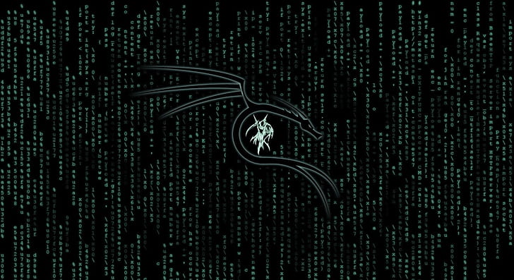 Technologie, Kali Linux, HD-Hintergrundbild