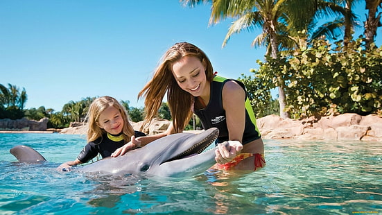 lumba-lumba, binatang, wanita, gadis kecil, pakaian renang, berambut cokelat, kolam renang, tersenyum, Wallpaper HD HD wallpaper