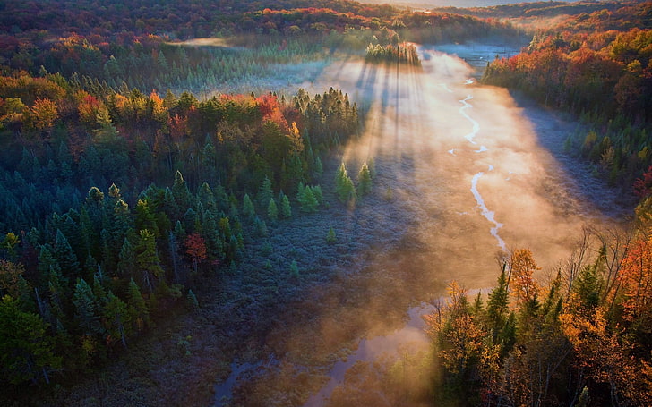 зеленый лес, лес, туман, деревья, поле, река, солнечные лучи, осень, вид с воздуха, природа, пейзаж, HD обои
