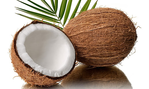 코코넛 열매, 코코, 반, 잎, HD 배경 화면 HD wallpaper