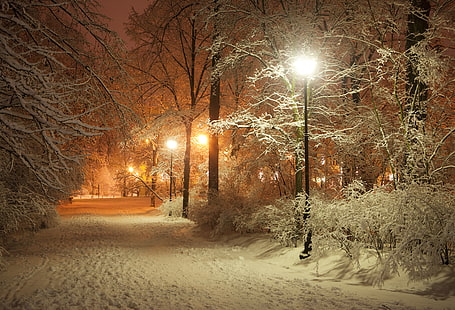 черный уличный фонарь, дорога, пейзаж, ночь, природа, огни, фонарь, аллея, полночь, лампа, фонари, красивая сцена, фонарный столб, романтический вечер, романтический вечер, зимний парк, HD обои HD wallpaper