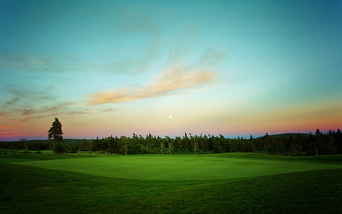 Campo de golfe HD, campo de grama verde, natureza, paisagem, golfe, curso, HD papel de parede HD wallpaper