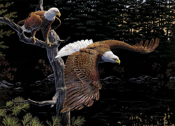 dua lukisan elang botak, hutan, burung, pohon, seni, elang, Al Agnew, Wallpaper HD