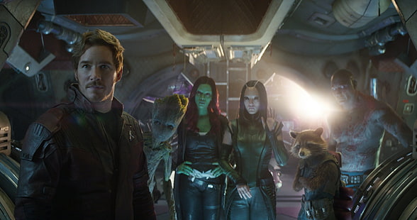 Film, Avengers: Infinity War, Chris Pratt, Dave Bautista, Drax der Zerstörer, Gamora, Groot, Wächter der Galaxis, Raketenwaschbär, Star Lord, Zoe Saldana, HD-Hintergrundbild HD wallpaper