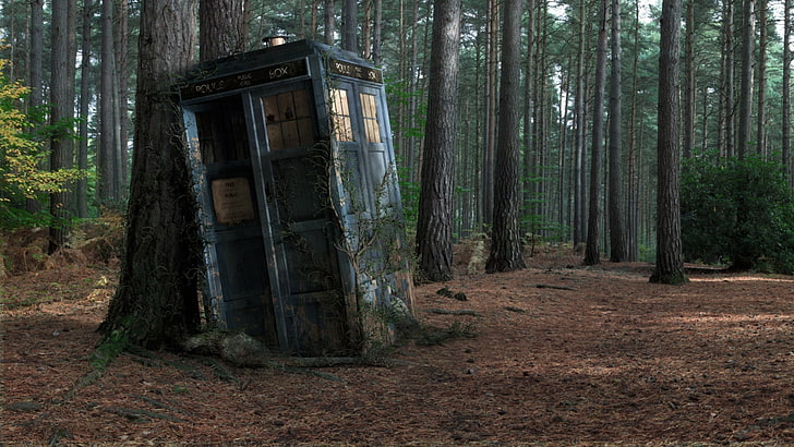 blue telephone booth, Doctor Who, TARDIS, wood, decay, HD wallpaper