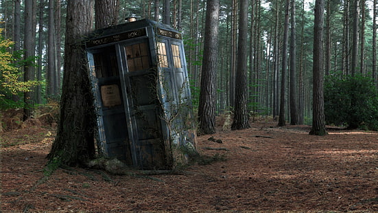 blue telephone booth, Doctor Who, TARDIS, wood, decay, HD wallpaper HD wallpaper
