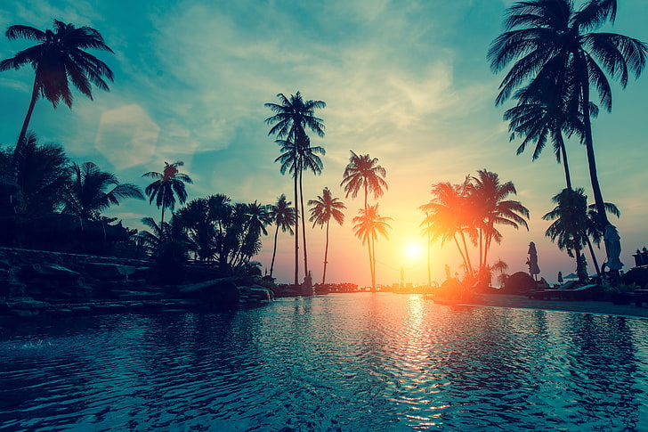 Solnedgång, tropisk strand, palmer, HD tapet