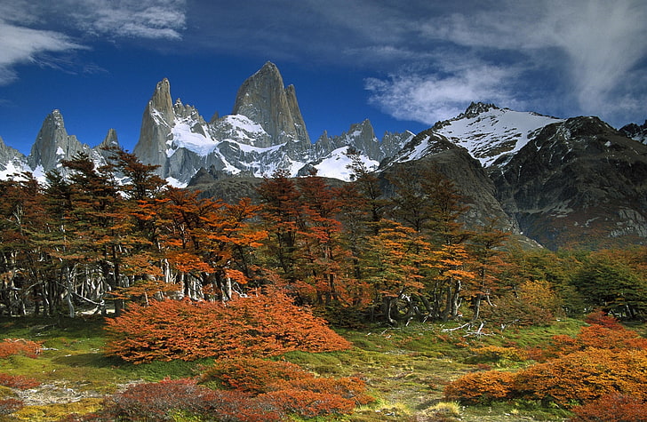 Fitzroy Ve Kayın Ağaçları Sonbahar Los ..., kahverengi yapraklı ağaç, Doğa, Dağlar, Sonbahar, Ağaçlar, Ulusal, Arjantin, Park, Fitzroy, Kayın, Glaciares, Patagonya, HD masaüstü duvar kağıdı