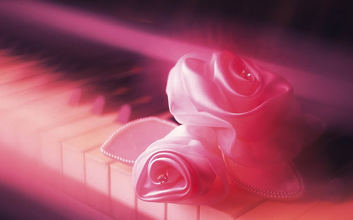 mawar satin merah muda, kunci, mawar, lembut, merah muda, Wallpaper HD