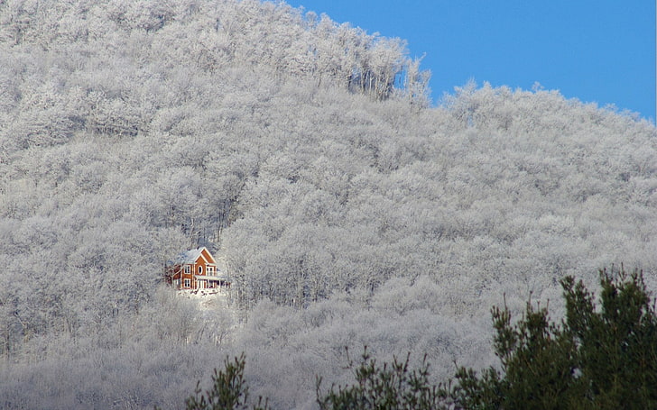 갈색 목조 주택, 나무, 겨울, 눈, 집, 빛, HD 배경 화면