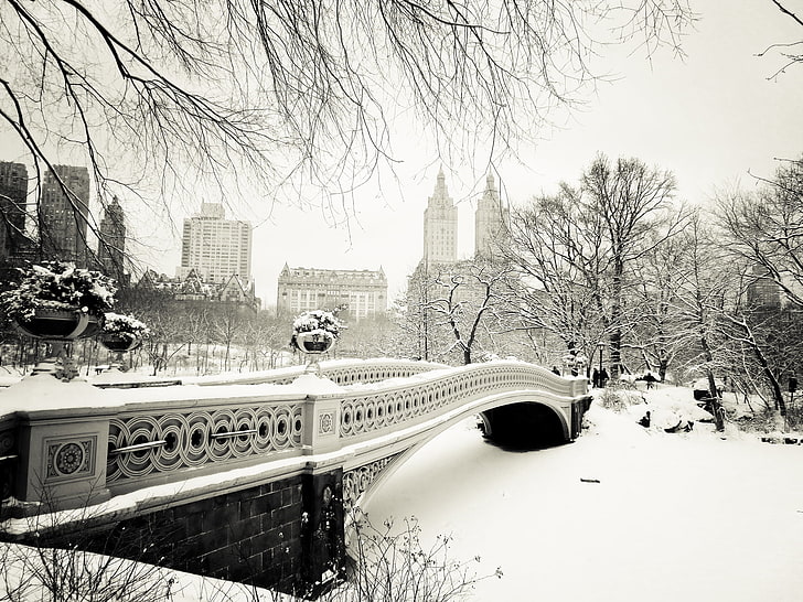 puente de hormigón, invierno, nieve, árboles, naturaleza, la ciudad, Nueva York, Estados Unidos, Manhattan, Nueva York, Nueva York, Central Park, Bow Bridge, Fondo de pantalla HD
