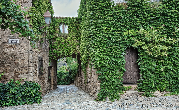 Medieval Village of Peratallada Catalonia, green plants, Architecture, HD wallpaper