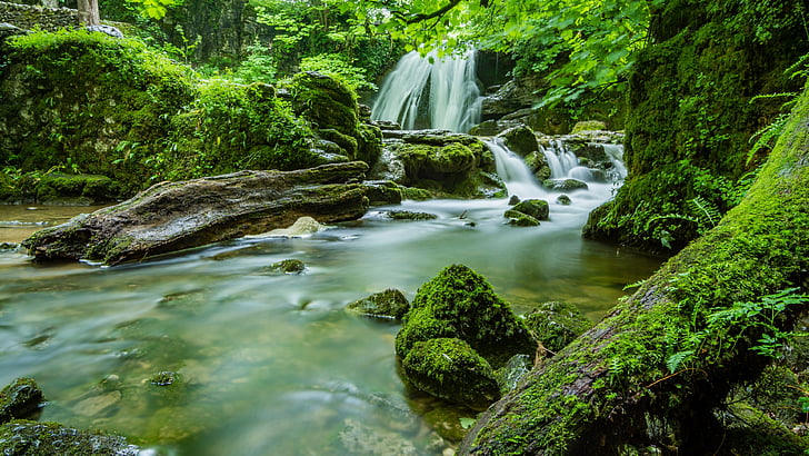 moss, mossy, waterfall, stream, green nature, body of water, forest, HD wallpaper