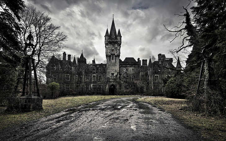gray castle, castle, road, gray, gloomy, thrown, left, HD wallpaper
