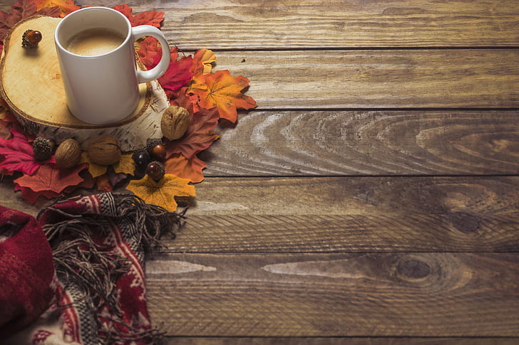 otoño, hojas, fondo, árbol, café, colorido, bufanda, taza, madera, arce, Fondo de pantalla HD