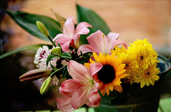 pink petaled flowers, lilies, sunflowers, chrysanthemums, flowers, bouquet, bucket, HD wallpaper