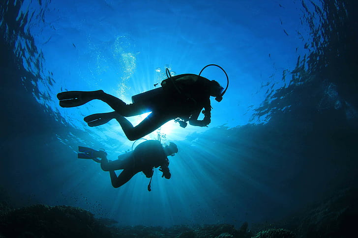 mergulhador, mergulho, oceano, mergulhador, mar, subaquático, HD papel de parede