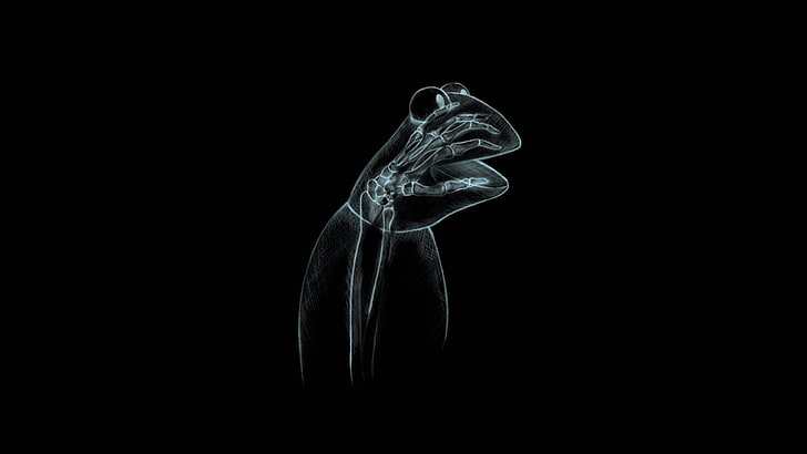 dessins animés abstraite xray rue sésame kermit la grenouille solide marionnette simple simpliste 1920x1080 wal animaux grenouilles HD Art, abstrait, dessins animés, Fond d'écran HD