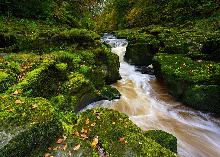 autumn, river, stones, England, moss, North Yorkshire, Yorkshire Dales, The Yorkshire Dales, Strid Wood, Vertical, Bolton Abbey, Wharfedale, Abbey Bolton, River Wharfe, The River Wharfe, HD wallpaper