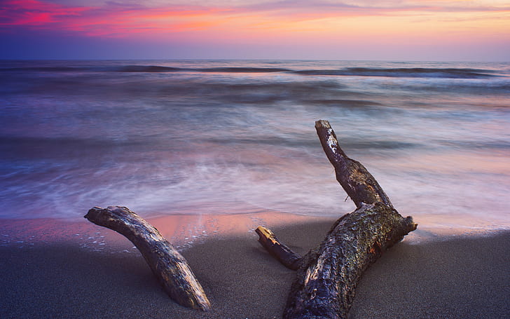 Log Beach Ocean Sunset HD, gray wood drift, nature, ocean, sunset, beach, log, HD wallpaper