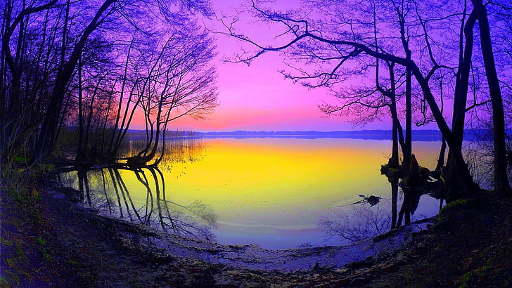 naturaleza, reflexión, cielo, agua, lago, rama, efecto, pastel, amanecer, mañana, árbol, otoño, luz solar, Fondo de pantalla HD